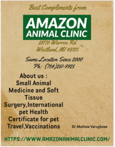 amazon clinic